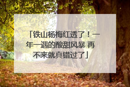 铁山杨梅红透了！一年一遇的酸甜风暴 再不来就真错过了