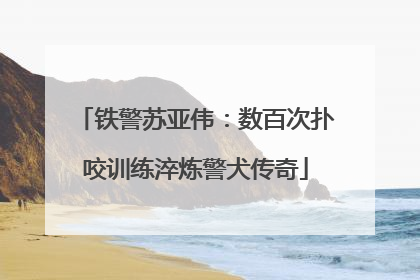 铁警苏亚伟：数百次扑咬训练淬炼警犬传奇