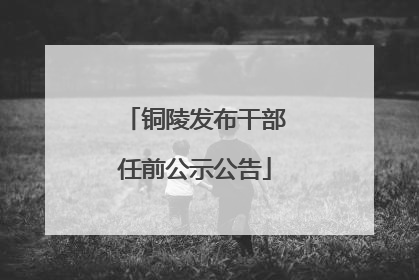 铜陵发布干部任前公示公告