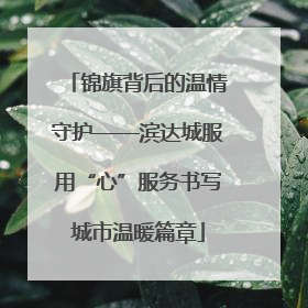 锦旗背后的温情守护——滨达城服用“心”服务书写城市温暖篇章