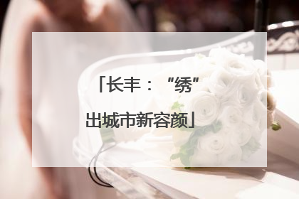 长丰：“绣”出城市新容颜
