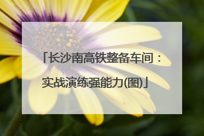 长沙南高铁整备车间：实战演练强能力(图)