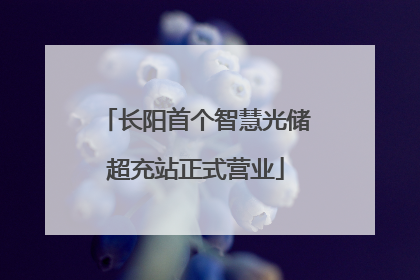 长阳首个智慧光储超充站正式营业