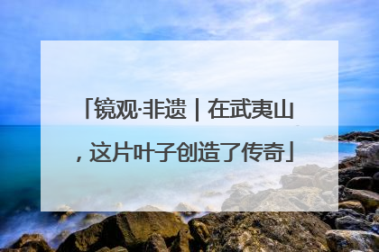 镜观·非遗｜在武夷山，这片叶子创造了传奇