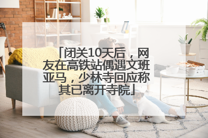 闭关10天后，网友在高铁站偶遇文班亚马，少林寺回应称其已离开寺院