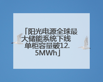 阳光电源全球最大储能系统下线 单柜容量破12.5MWh