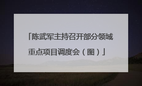 陈武军主持召开部分领域重点项目调度会（图）
