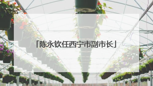陈永钦任西宁市副市长
