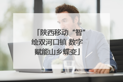 陕西移动“智”绘双河口镇 数字赋能山乡蝶变