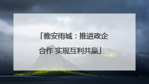 雅安雨城：推进政企合作 实现互利共赢