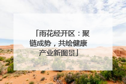 雨花经开区：聚链成势，共绘健康产业新图景