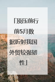 顶压前行 前5月数据折射我国外贸较强韧性
