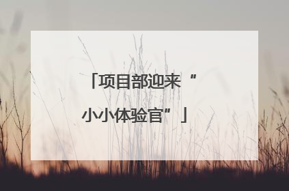 项目部迎来“小小体验官”