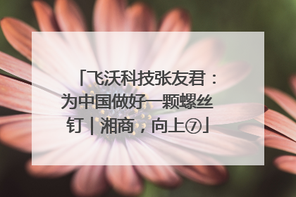 飞沃科技张友君：为中国做好一颗螺丝钉｜湘商，向上⑦