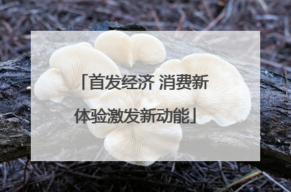 首发经济 消费新体验激发新动能