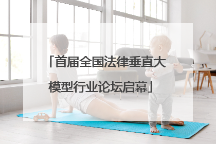 首届全国法律垂直大模型行业论坛启幕