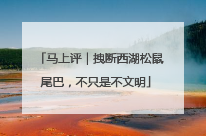 马上评｜拽断西湖松鼠尾巴，不只是不文明