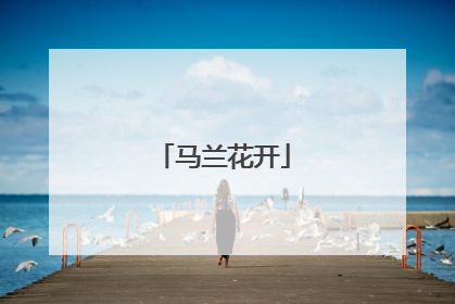 马兰花开