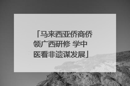 马来西亚侨商侨领广西研修 学中医看非遗谋发展
