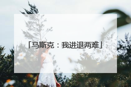 马斯克：我进退两难