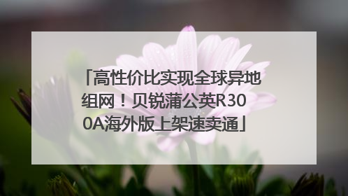 高性价比实现全球异地组网！贝锐蒲公英R300A海外版上架速卖通