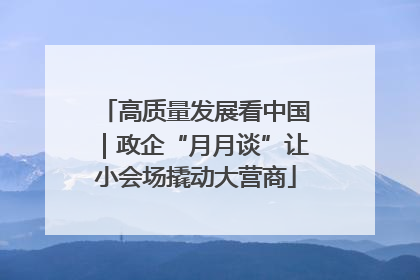 高质量发展看中国｜政企“月月谈”让小会场撬动大营商