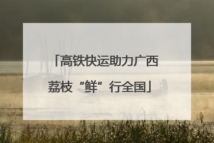 高铁快运助力广西荔枝“鲜”行全国