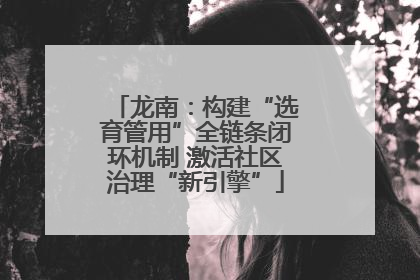 龙南：构建“选育管用”全链条闭环机制 激活社区治理“新引擎”