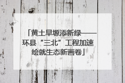 黄土旱塬添新绿——环县“三北”工程加速绘就生态新画卷