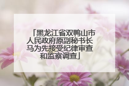 黑龙江省双鸭山市人民政府原副秘书长马为先接受纪律审查和监察调查