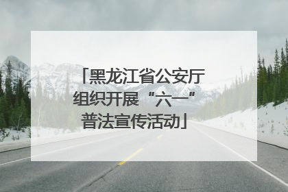 黑龙江省公安厅组织开展“六一”普法宣传活动