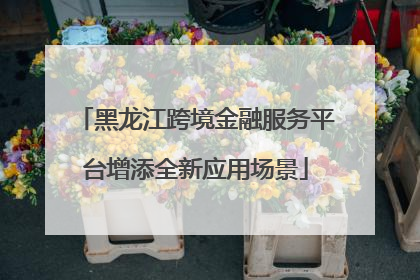 黑龙江跨境金融服务平台增添全新应用场景