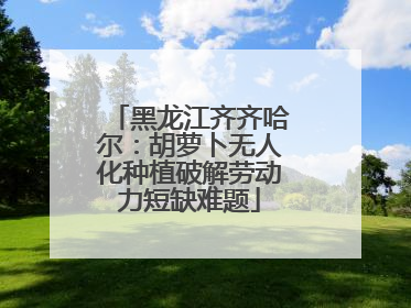 黑龙江齐齐哈尔：胡萝卜无人化种植破解劳动力短缺难题