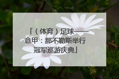 （体育）足球——意甲：那不勒斯举行冠军巡游庆典