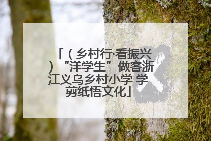 （乡村行·看振兴）“洋学生”做客浙江义乌乡村小学 学剪纸悟文化