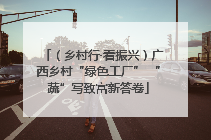 （乡村行·看振兴）广西乡村“绿色工厂” “蔬”写致富新答卷