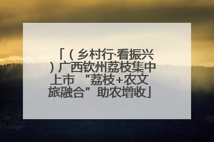 （乡村行·看振兴）广西钦州荔枝集中上市 “荔枝+农文旅融合”助农增收