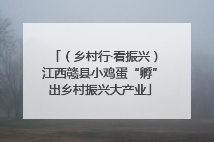 （乡村行·看振兴）江西赣县小鸡蛋“孵”出乡村振兴大产业