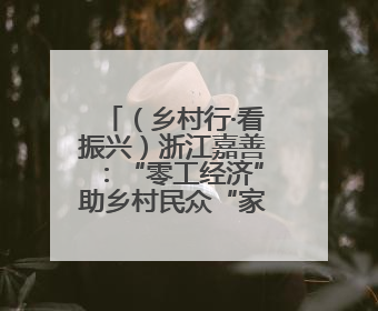 （乡村行·看振兴）浙江嘉善：“零工经济”助乡村民众“家门口”增收