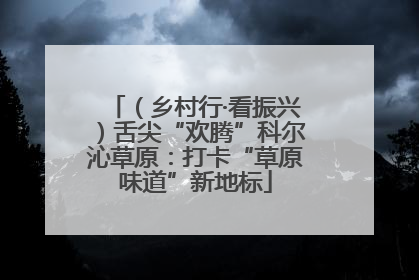 （乡村行·看振兴）舌尖“欢腾”科尔沁草原：打卡“草原味道”新地标