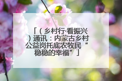 （乡村行·看振兴）通讯：内蒙古乡村公益岗托底农牧民“稳稳的幸福”