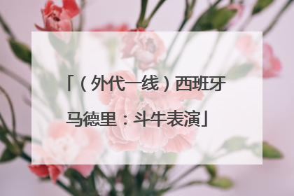 （外代一线）西班牙马德里：斗牛表演