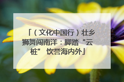 （文化中国行）壮乡狮舞闯南洋：脚踏“云桩” 饮誉海内外