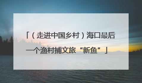 （走进中国乡村）海口最后一个渔村捕文旅“新鱼”