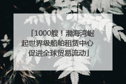1000艘！渤海湾崛起世界级船舶租赁中心 促进全球贸易流动