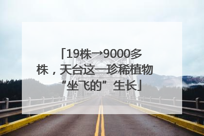 19株→9000多株，天台这一珍稀植物“坐飞的”生长