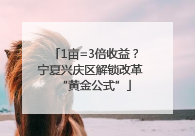 1亩=3倍收益？宁夏兴庆区解锁改革“黄金公式”