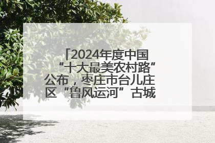 2024年度中国“十大最美农村路”公布，枣庄市台儿庄区“鲁风运河”古城文化廊道上榜！