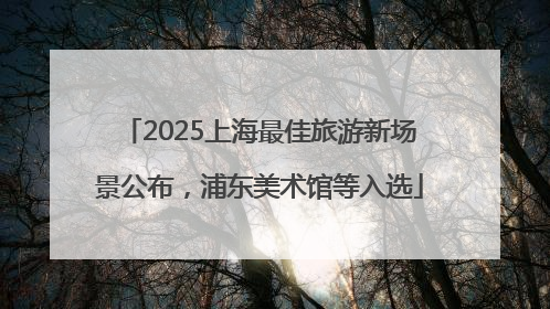 2025上海最佳旅游新场景公布，浦东美术馆等入选