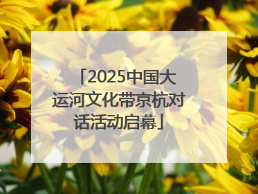2025中国大运河文化带京杭对话活动启幕